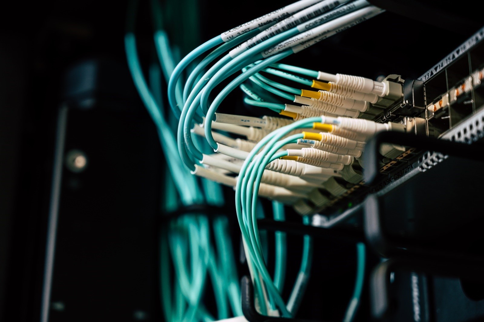 Cactusnet Conectividade de Fibra Óptica